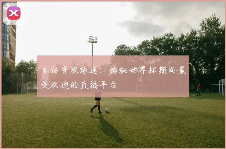 专访资深球迷：揭秘世界杯期间最受欢迎的直播平台