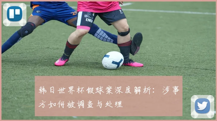 韩日世界杯假球案深度解析：涉事方如何被调查与处理