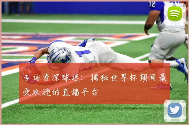 专访资深球迷：揭秘世界杯期间最受欢迎的直播平台