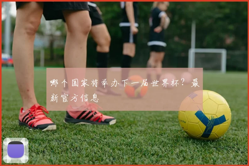 哪个国家将举办下一届世界杯？最新官方信息