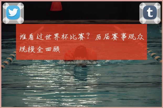 谁看过世界杯比赛？历届赛事观众规模全回顾