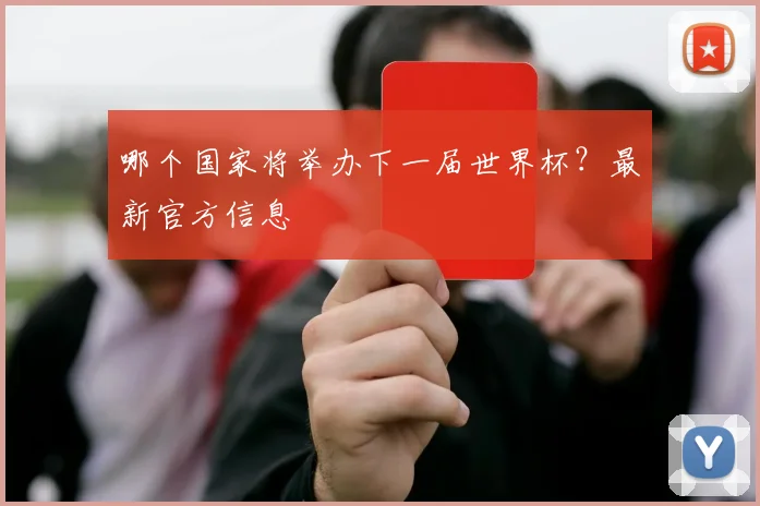 哪个国家将举办下一届世界杯？最新官方信息