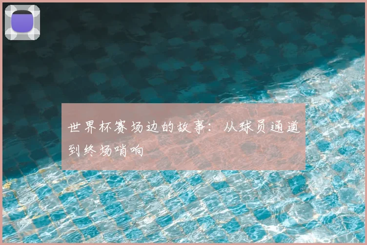 世界杯赛场边的故事:从球员通道到终场哨响