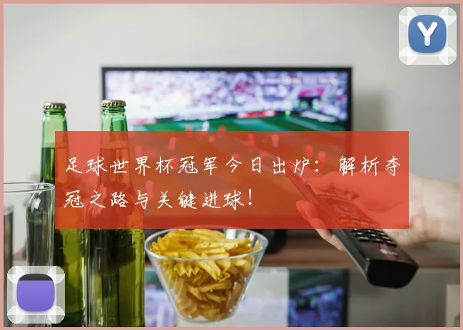 足球世界杯冠军今日出炉:解析夺冠之路与关键进球!