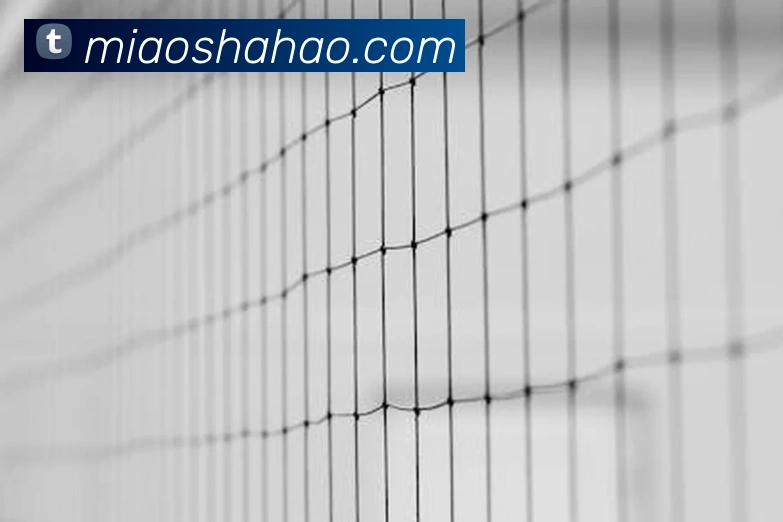 云开体育app官网入口登录网页版平台生态图